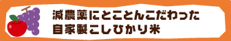 減農薬にところんこだわった自家製こしひかり米