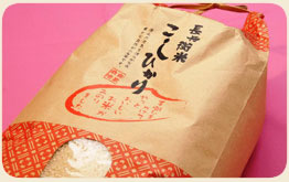 ≪新米≫長兵衛のじっちゃんが作る減農薬コシヒカリ５ｋｇ（精米）