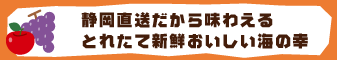 静岡直送だから味わえるとれたて新鮮おいしい海の幸
