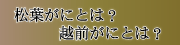 松葉がにとは？越前がにとは？