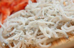 駿河湾の味覚！しらす・ゆで桜えびセット　