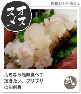 �褭�ʤ����󿩤٤�ĺ���������ץ�ץ�ΰ�����Ϸ�λɿ�